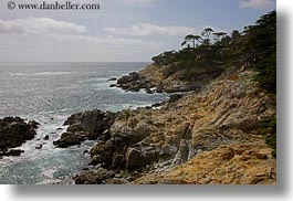 images/California/Carmel/Trees/rocky-coastline.jpg