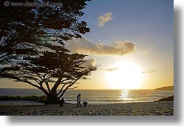 behind, california, carmel, horizontal, sunsets, trees, west coast, western usa, photograph