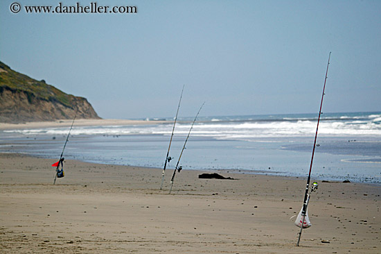 fishing-poles-in-beach.jpg
