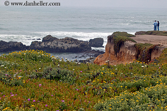 flowers-couple-ocean.jpg
