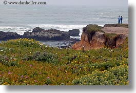 california, coastal views, coastline, couples, flowers, horizontal, ocean, west coast, western usa, photograph
