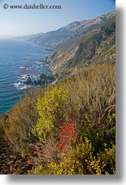 california, cliffs, coastal views, coastline, flowers, vertical, west coast, western usa, photograph