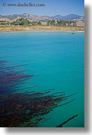 california, coastal views, coastline, ocean, seaweed, vertical, west coast, western usa, photograph