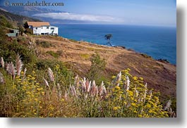 california, coastal views, coastline, horizontal, ocean, shack, views, weeds, west coast, western usa, photograph