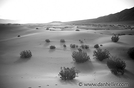 desert-bw.jpg