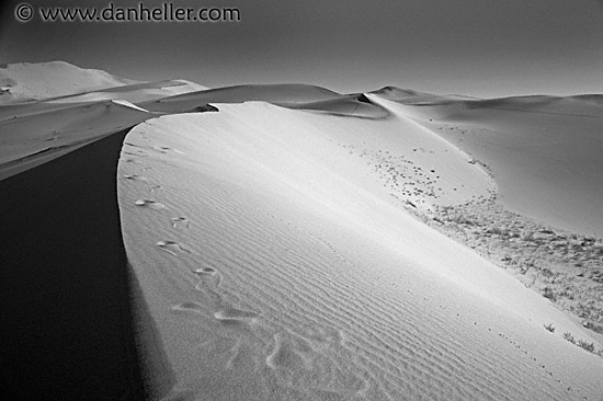 eureka-dunes-1.jpg