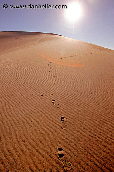 eureka-footprints-1.jpg