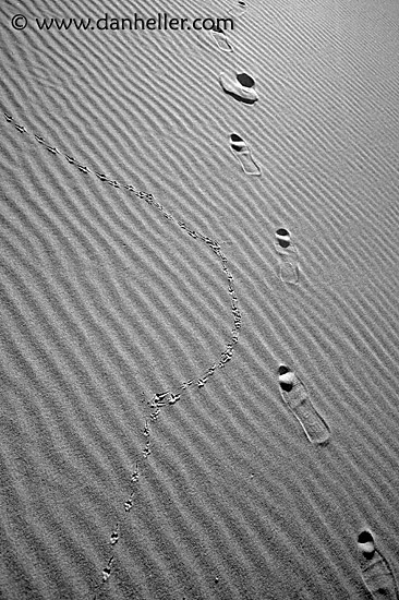 eureka-footprints-2.jpg