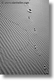california, death valley, eureka, eureka dunes, footprints, national parks, vertical, west coast, western usa, photograph