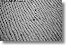 california, death valley, eureka, eureka dunes, footprints, horizontal, national parks, west coast, western usa, photograph