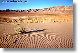 california, death valley, eureka, eureka dunes, horizontal, national parks, shrubs, west coast, western usa, photograph