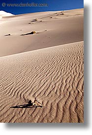 california, death valley, eureka, eureka dunes, national parks, shrubs, vertical, west coast, western usa, photograph