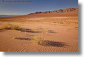 california, death valley, eureka, eureka dunes, horizontal, national parks, shrubs, west coast, western usa, photograph