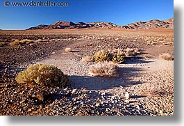 california, death valley, horizontal, national parks, shrubs, west coast, western usa, photograph