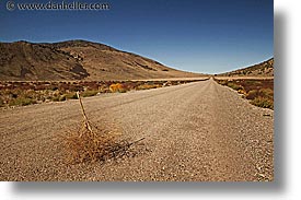 california, death valley, horizontal, national parks, tumbleweed, west coast, western usa, photograph