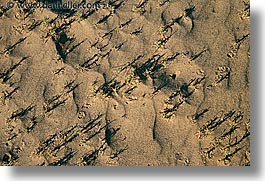 california, death valley, horizontal, national parks, sand, weeds, west coast, western usa, photograph