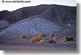 california, death valley, horizontal, national parks, shrubs, west coast, western usa, photograph