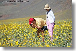 california, death valley, horizontal, landscapes, men, national parks, people, photographers, west coast, western usa, wildflowers, womens, photograph