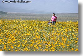 boys, california, childrens, death valley, horizontal, landscapes, mothers, national parks, people, west coast, western usa, wildflowers, womens, photograph