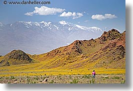 california, death valley, horizontal, landscapes, national parks, people, west coast, western usa, wildflowers, photograph