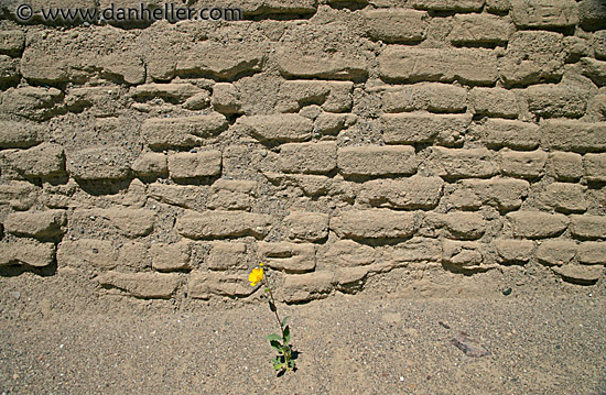 brick-n-flower.jpg