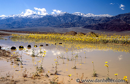 landscape3.jpg