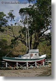 boats, california, gorda, trees, vertical, west coast, western usa, photograph