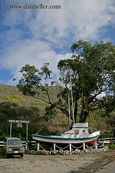 boat-n-tree-02.jpg