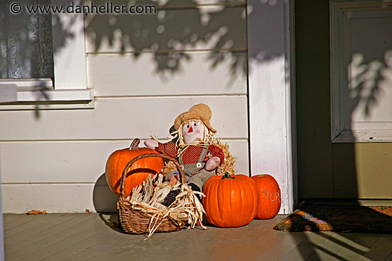 scarecrow-n-pumpkins.jpg