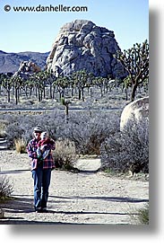 california, jacks, joshua, joshua tree, vertical, west coast, western usa, photograph