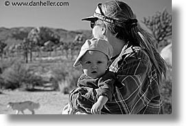 black and white, california, horizontal, jacks, joshua, joshua tree, west coast, western usa, photograph