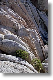 images/California/JoshuaTree/joshua-rocks-1.jpg
