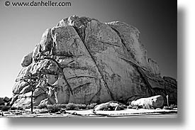 california, horizontal, joshua, joshua tree, rocks, west coast, western usa, photograph