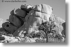 images/California/JoshuaTree/joshua-rocks-4.jpg