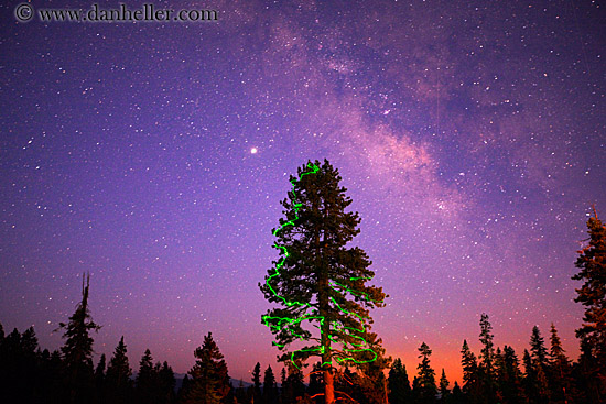 tree-n-milky_way.jpg