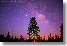 images/California/KingsCanyon/FlashlightPainting/tree-n-milky_way.jpg