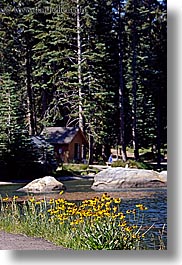 california, kings canyon, lakes, vertical, west coast, western usa, wildflowers, photograph