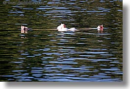 california, floating, horizontal, kings canyon, lakes, west coast, western usa, womens, photograph