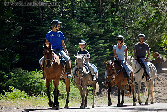 family-on-horses-1.jpg