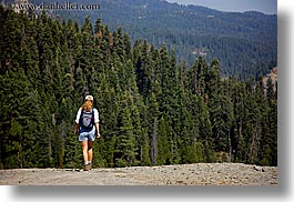 among, california, hiking, horizontal, jills, kings canyon, pines, west coast, western usa, photograph