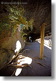 images/California/KingsCanyon/Sequoia/hollow-sequoia-tree-3.jpg