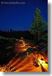 california, illuminated, kings canyon, long exposure, nite, paths, stars, trees, vertical, west coast, western usa, photograph