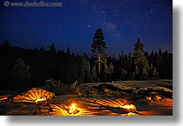 images/California/KingsCanyon/Stars/lit-path-tree-n-stars-3.jpg