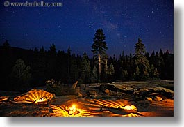 california, galaxy, horizontal, illuminated, kings canyon, long exposure, milky way, nite, paths, stars, trees, west coast, western usa, photograph