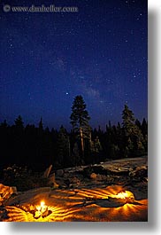 california, galaxy, illuminated, kings canyon, long exposure, milky way, nite, paths, stars, trees, vertical, west coast, western usa, photograph