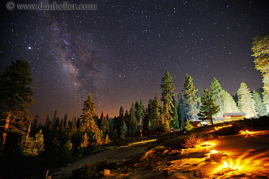 lit-path-tree-n-stars-7.jpg