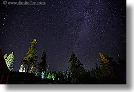 california, galaxy, horizontal, kings canyon, long exposure, milky way, nite, stars, trees, west coast, western usa, photograph