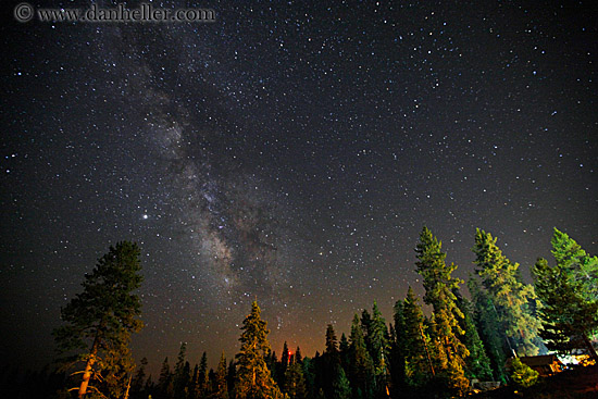 milky_way-galaxy-n-trees-4.jpg