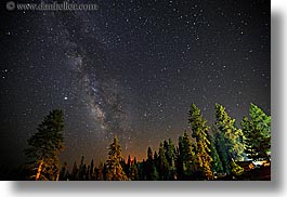 images/California/KingsCanyon/Stars/milky_way-galaxy-n-trees-4.jpg