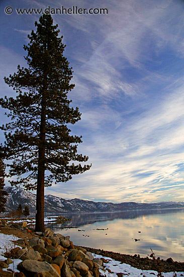 lake-snow-trees-1.jpg